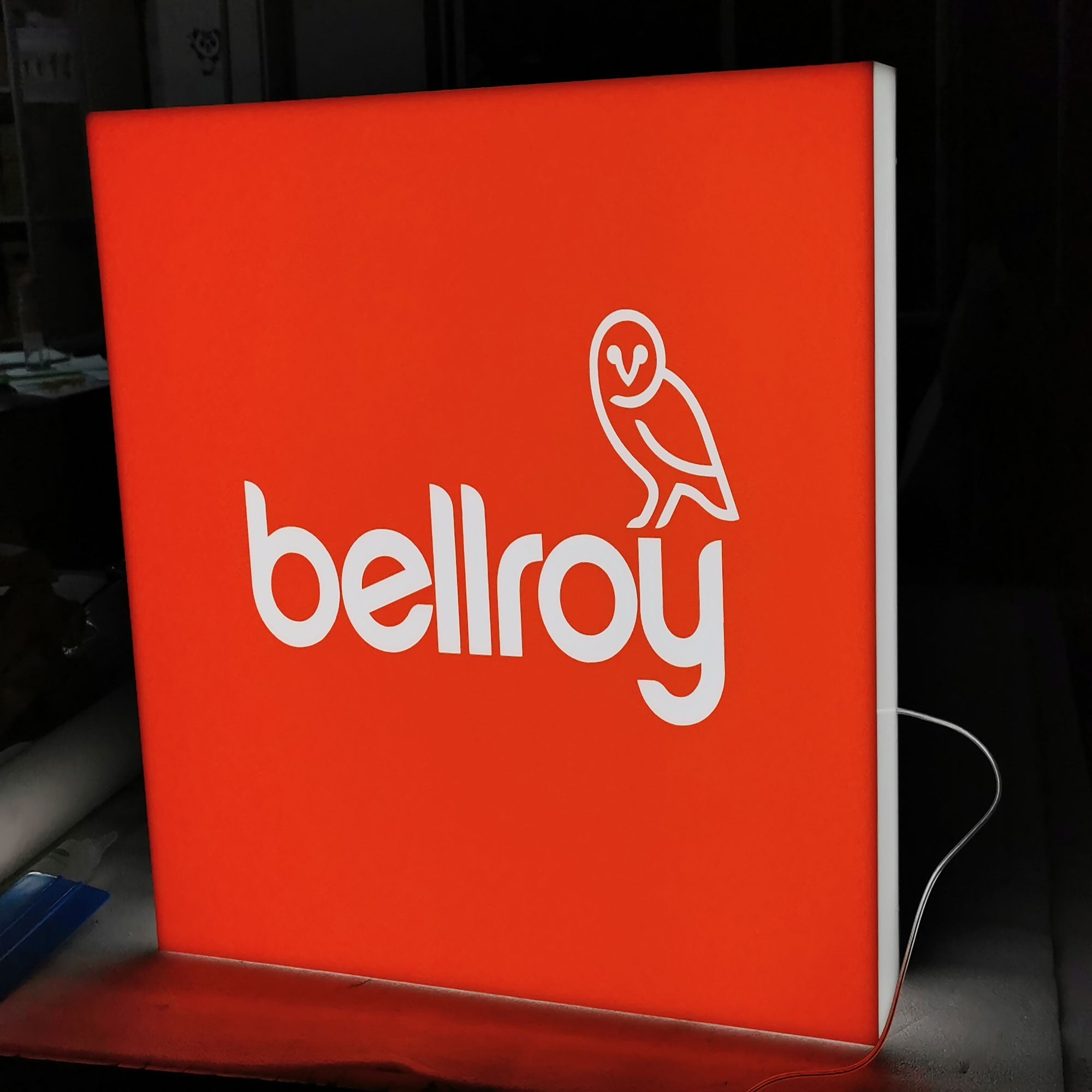 Hanging LED Rectangle Acrylic Light Box Shop Front Sign Store Shop Business Use Light Box