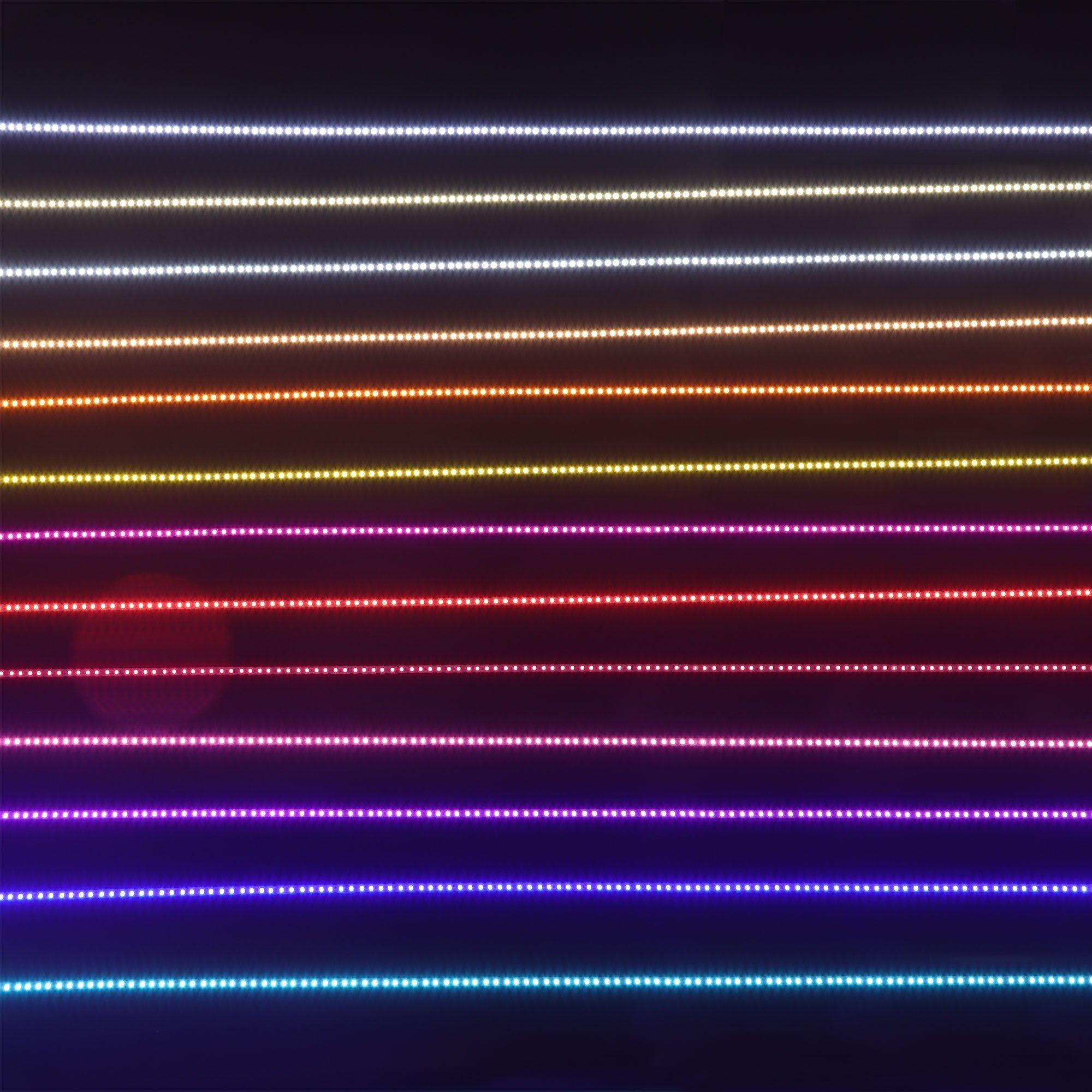 Multi Color DC 12V DC 24V Waterproof LED Flexible Strips 4MM 5MM 8MM Width for LED Signs