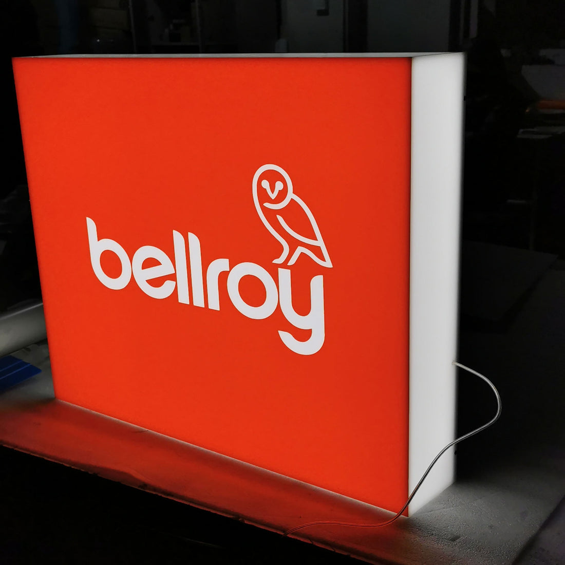 Hanging LED Rectangle Acrylic Light Box Shop Front Sign Store Shop Business Use Light Box