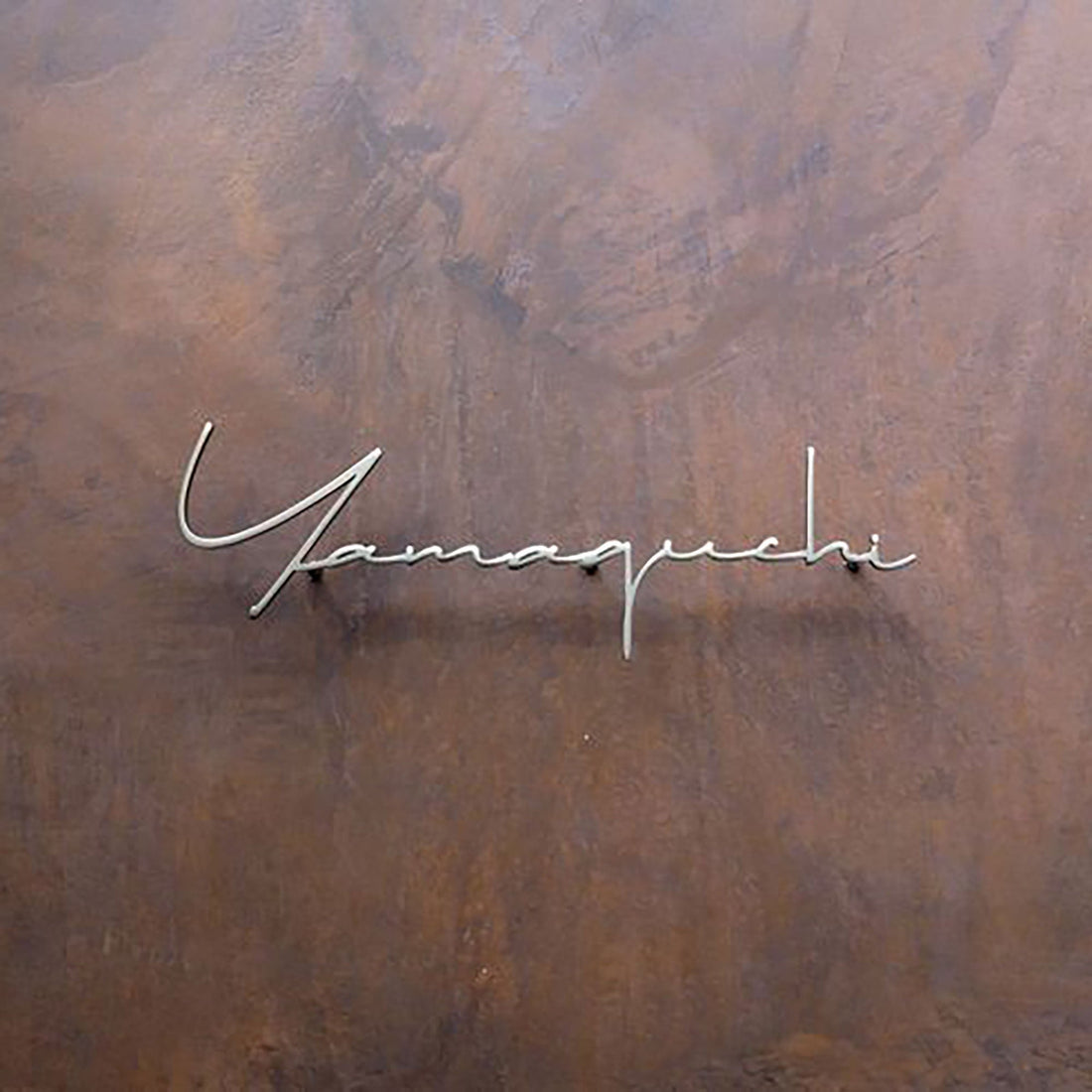 Silver aluminum brushed cut letters door front decorative solid letters business wall logo signage