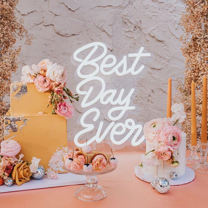 Best Day Ever neon signs, Brite White LED neon sign with clear acrylic mounting panel for weddings