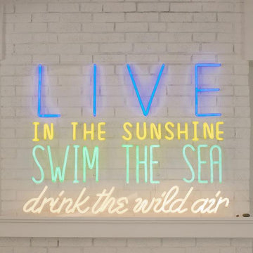 LIVE IN THE SUNSHINE neon signs
